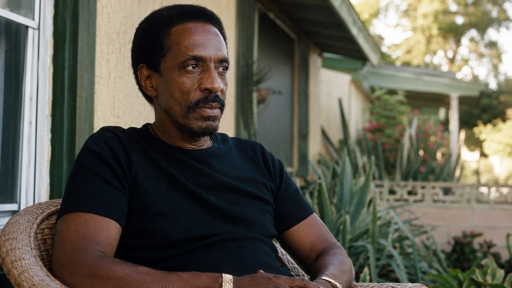 Her Connection to Ike Turner - twanna turner melby