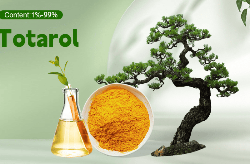 Totarol & Licochalcone A: Redefining Acne Treatment and Barrier Repair