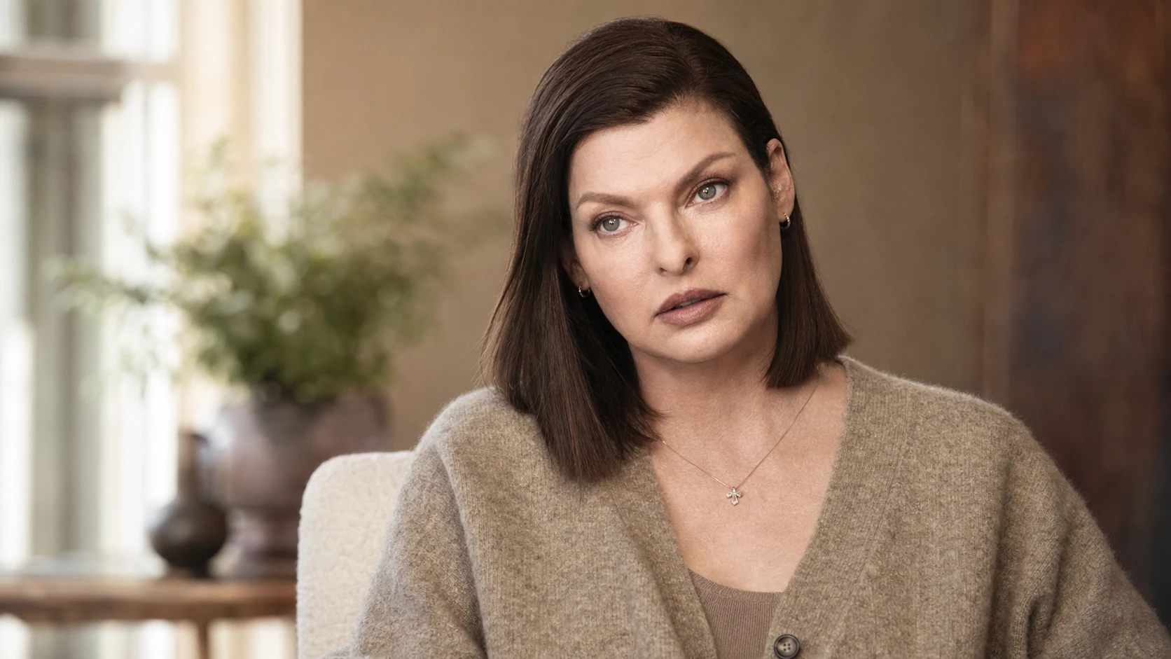 The Linda Evangelista CoolSculpting Photos - Linda Evangelista Coolsculpting Photos