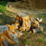 Stump Removal