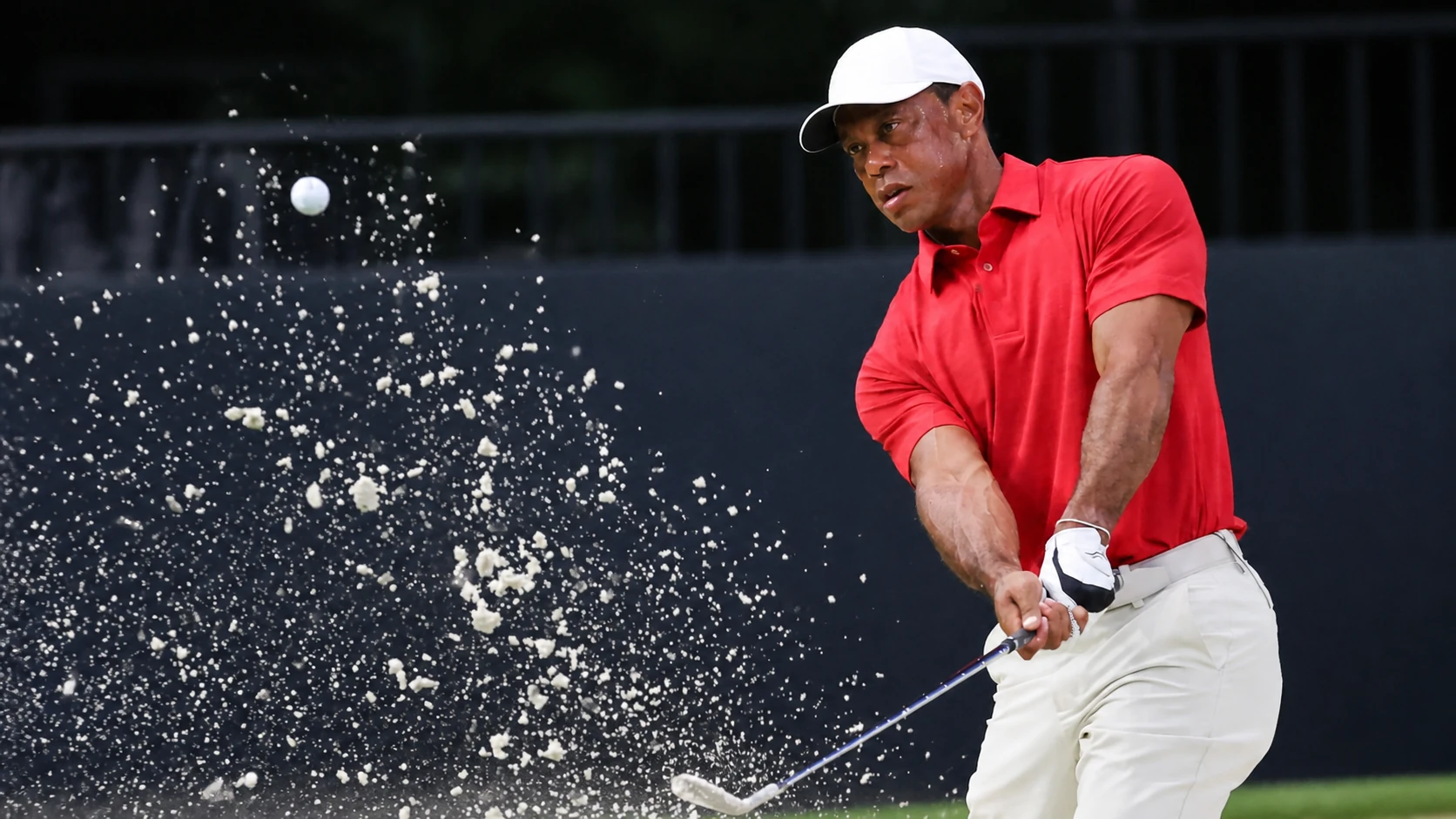 Tiger Woods: From Amateur Champion to Golf's Record Books - tiger woods and harrison ford