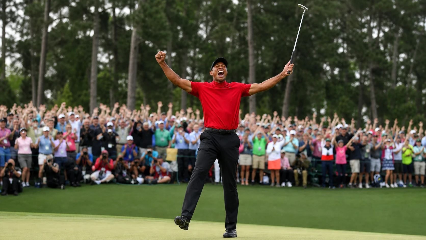 The 2019 Comeback and Later Influence - tiger woods and harrison ford